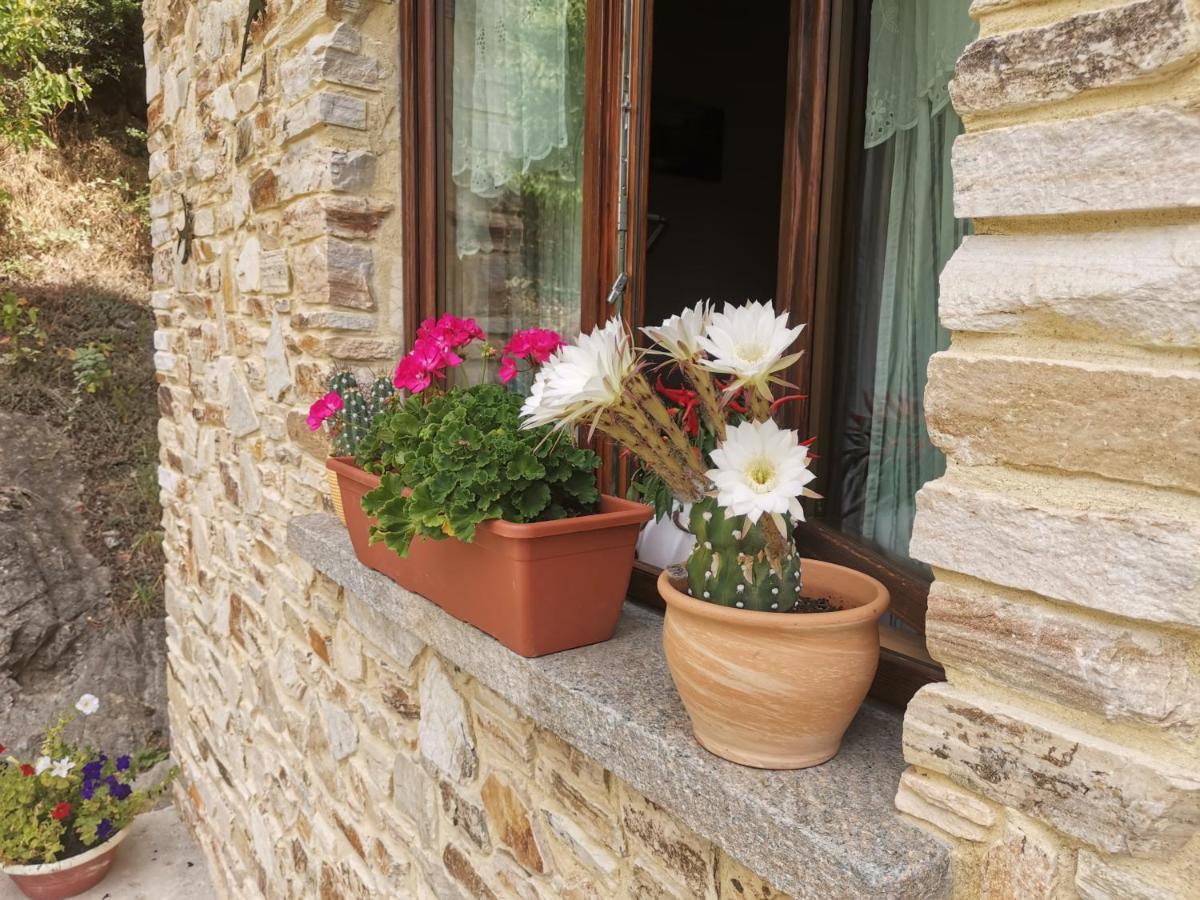 Casa Bella Vista Apartment Villar San Costanzo Luaran gambar